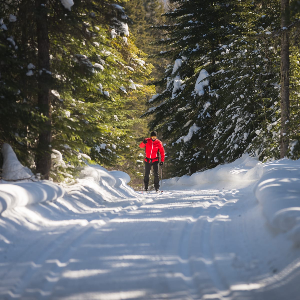 Cross-country skiing at Mont Grand-Fonds