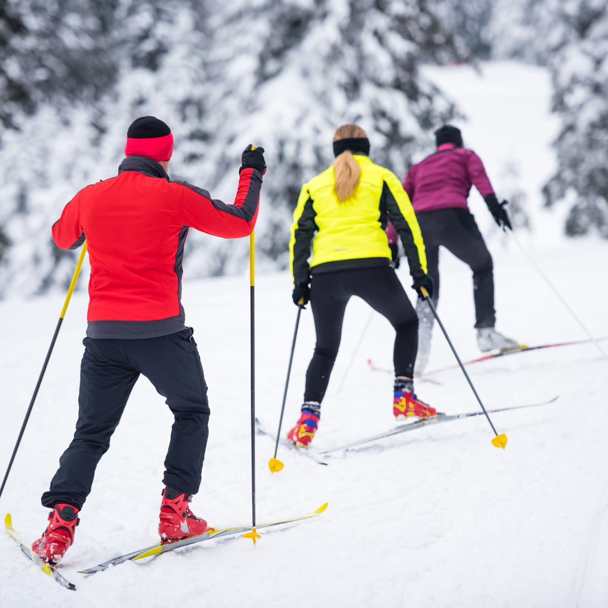 Cross-country skiing at Mont Grand-Fonds
