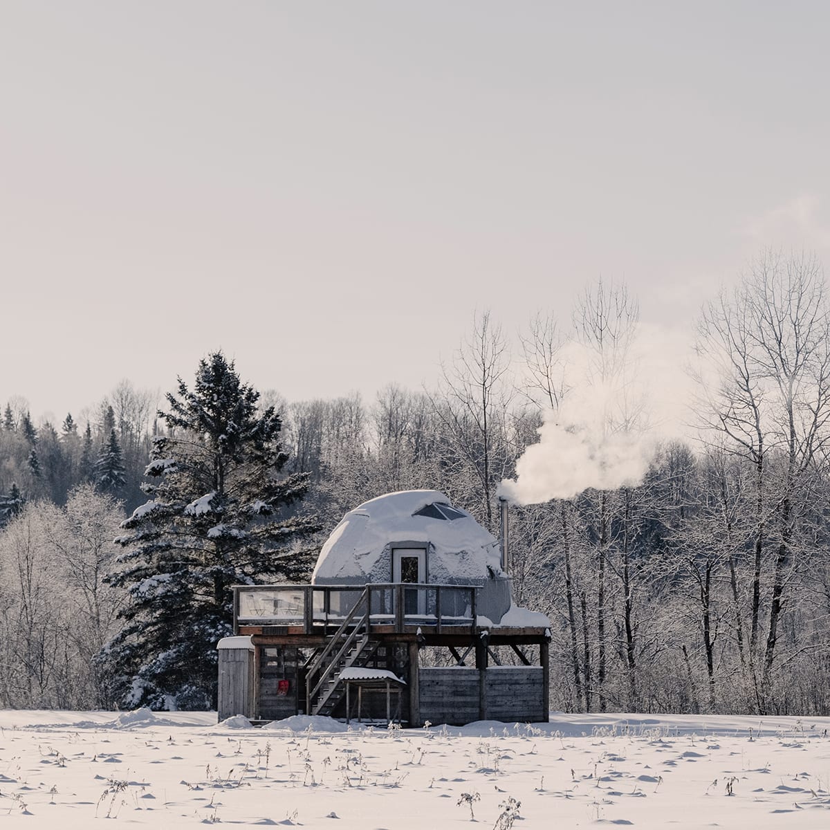 Hébergement de style dôme dans un paysage hivernal immaculé.