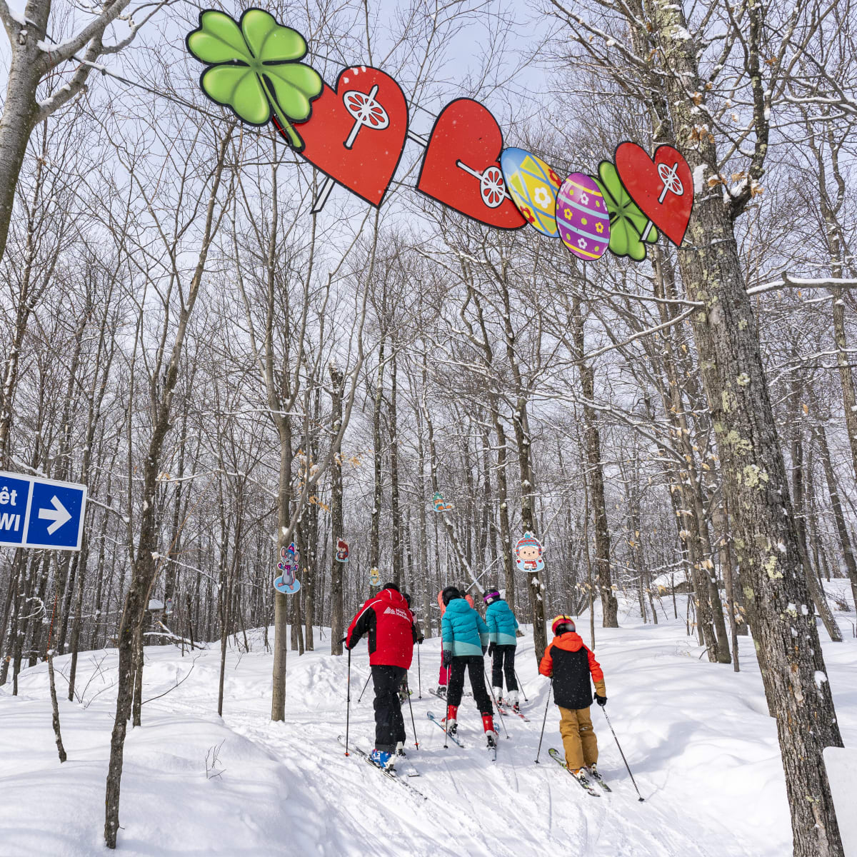 Cross-country skiing at Sommet Morin Heights.