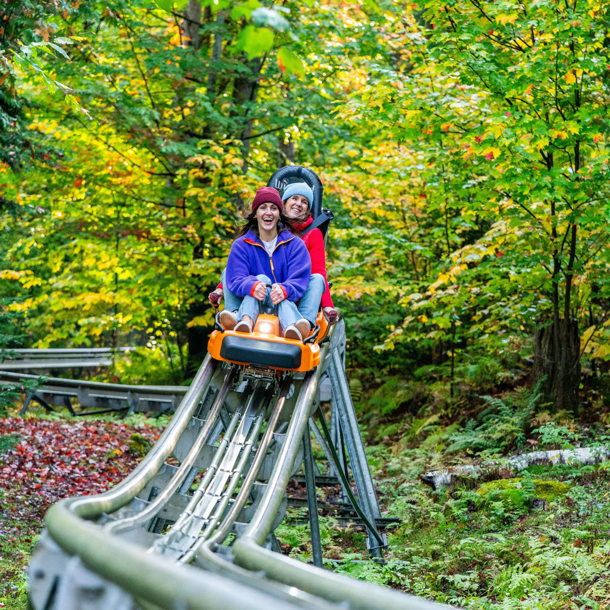 Sommet Saint-Sauveur fall foliage