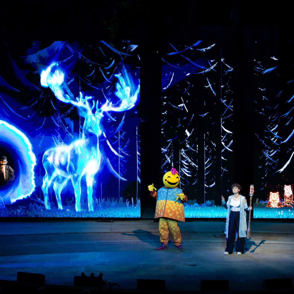 Le spectacle nocturne Ilia.