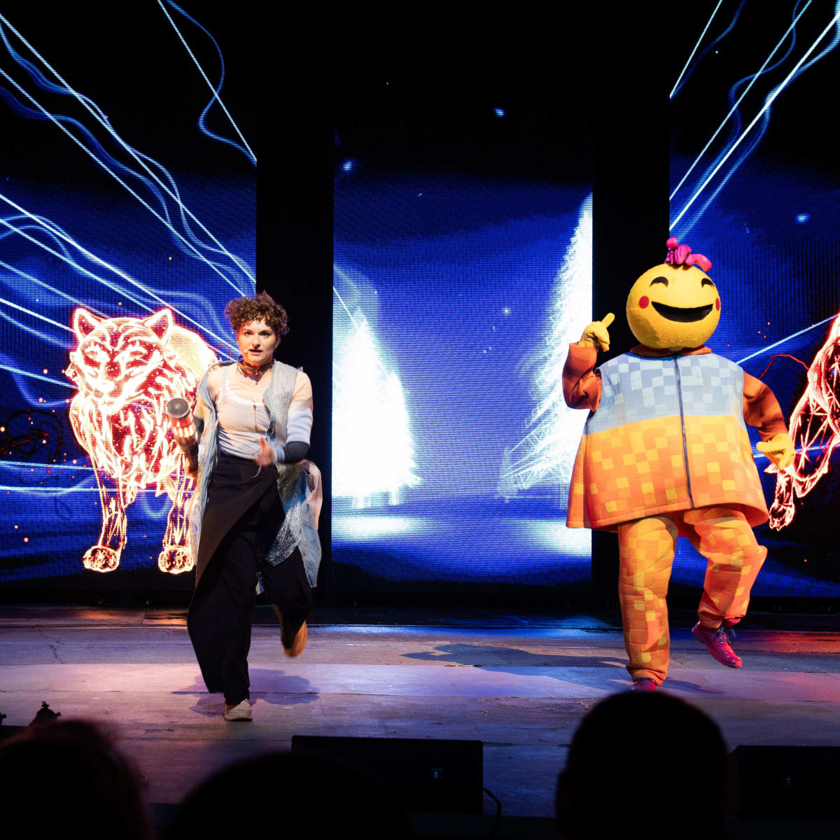 Le spectacle nocturne Ilia.