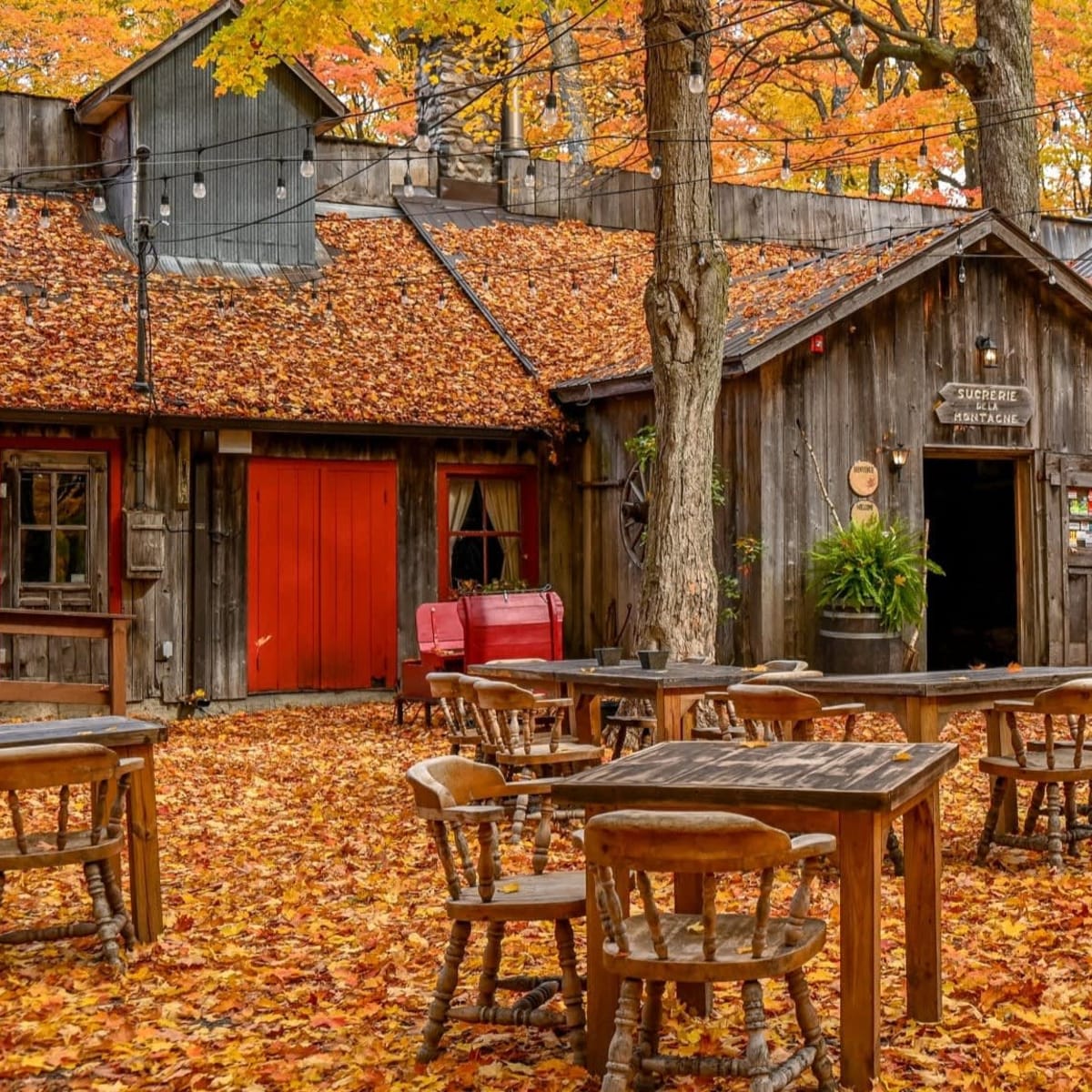 Sucrerie at fall.