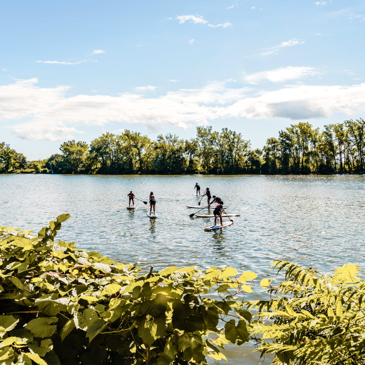 Cours de SUP en été sur la rivière. 