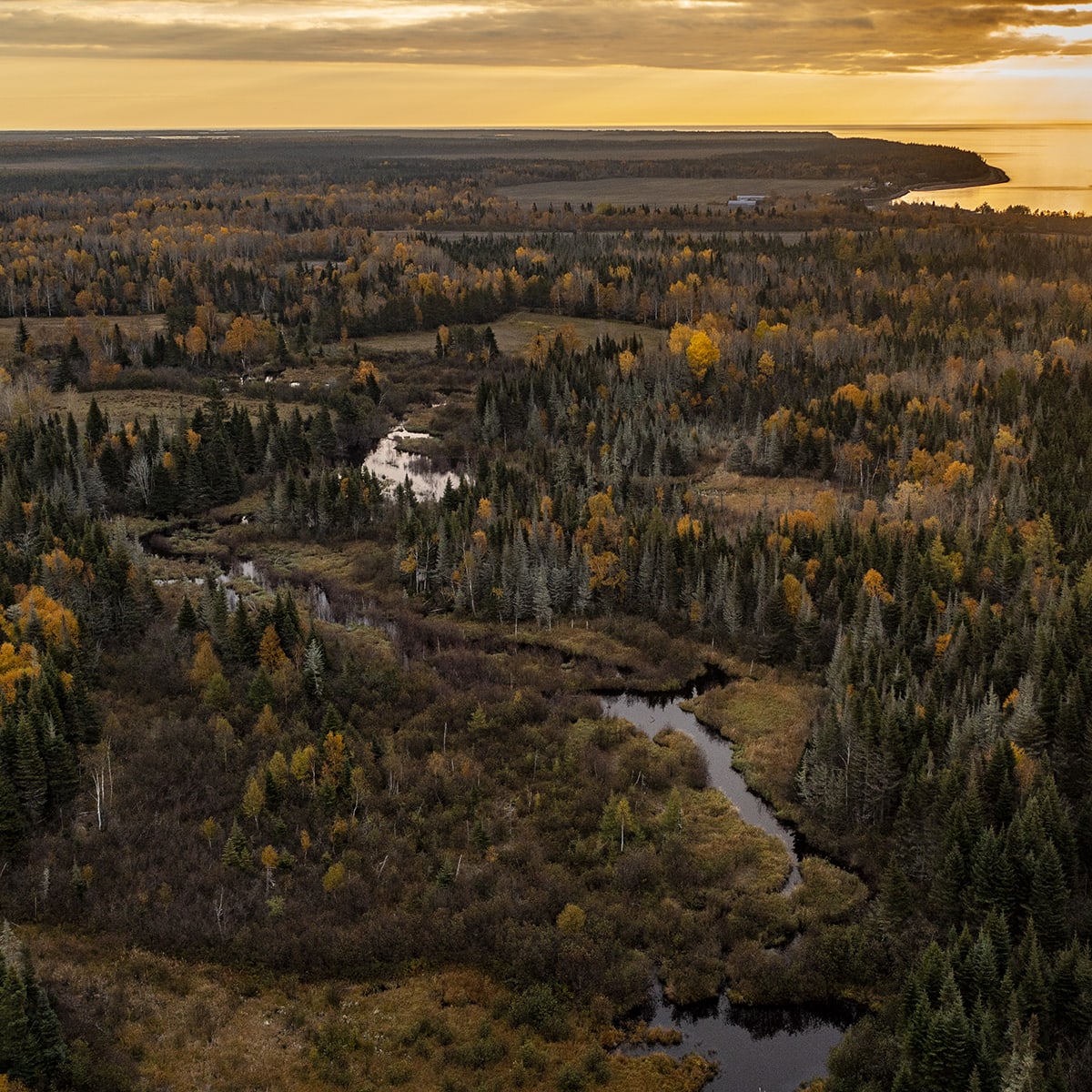 Côte-Nord in the fall.