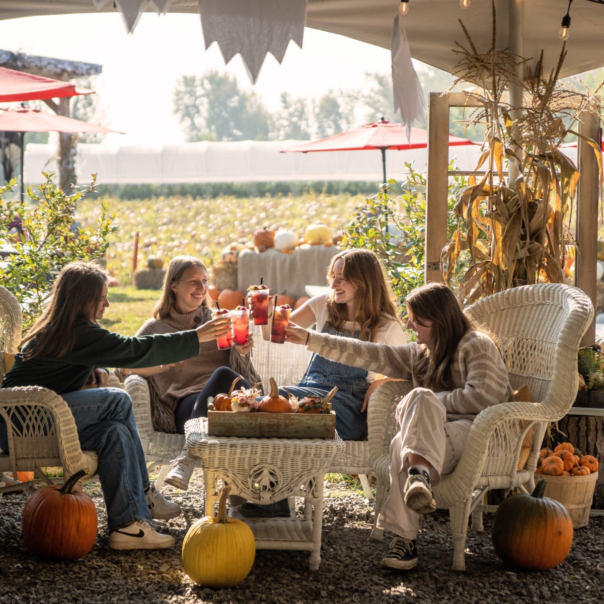 Terroir et Saveurs du Québec: Autumn, Chilling with Friends.