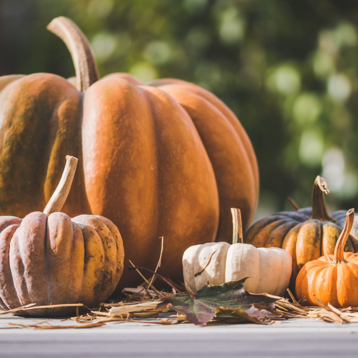 Terroir et Saveurs du Québec: Pumpkins.