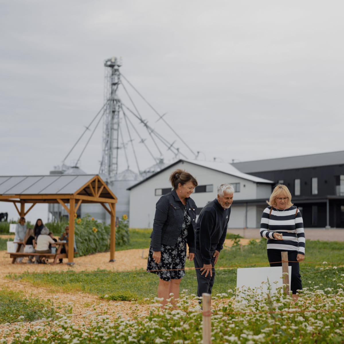Visiteurs regardant une plantation à l'extérieur.