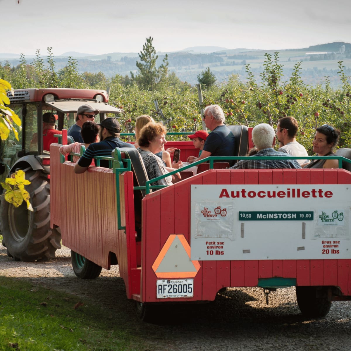 Balade en tracteur dans le verger. 