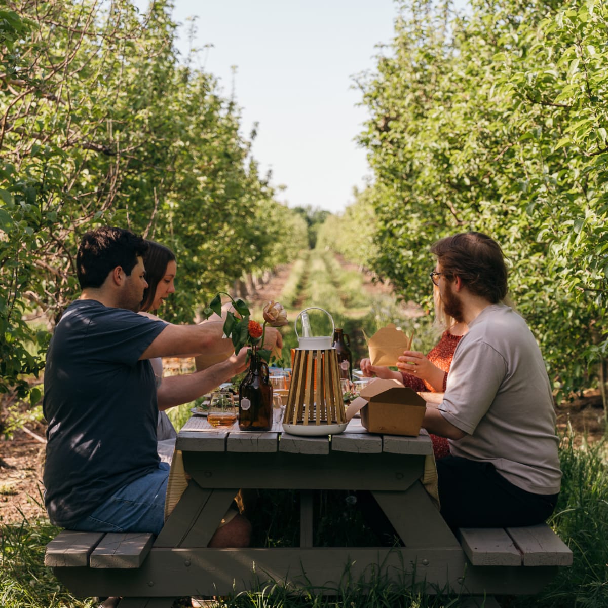 Quatre personnes assises à une table à pique-nique en train de déguster un repas gourmand au milieu d'un verger.