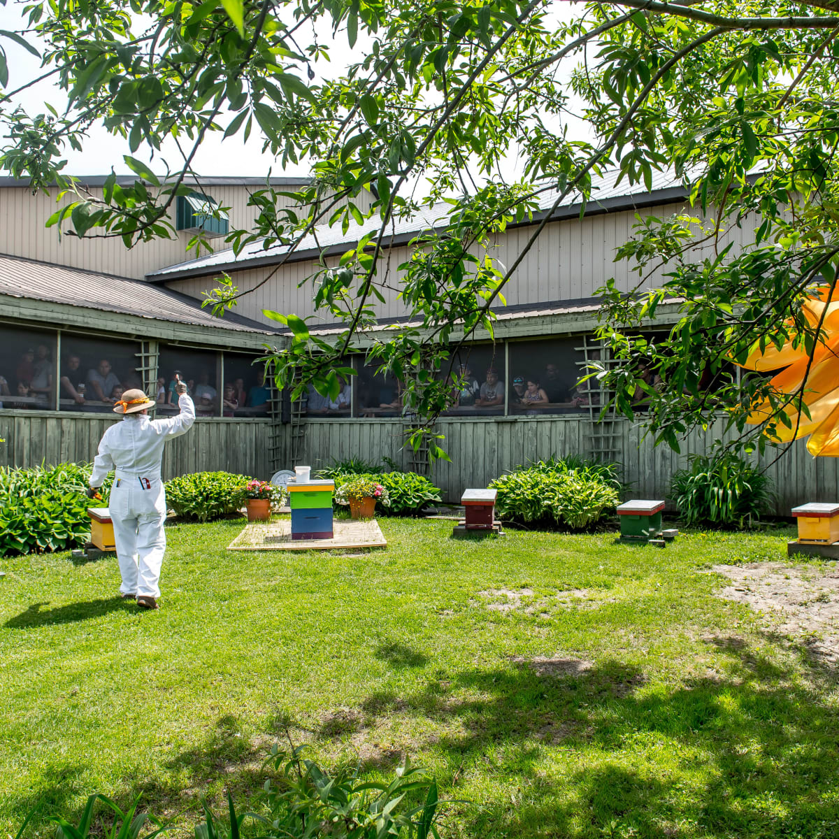 Une personne habillée d'un habit protecteur, des ruches d'abeilles autour d'elle, parle à des spectateurs à l'intérieur d'un bâtiment.