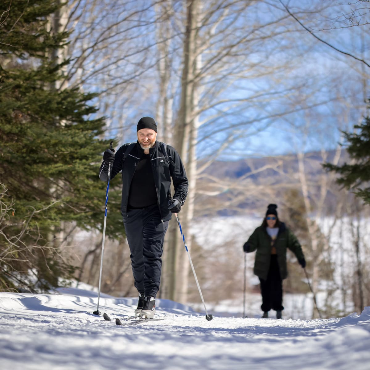 Two people cross-country skiing in a forest on a sunny day.