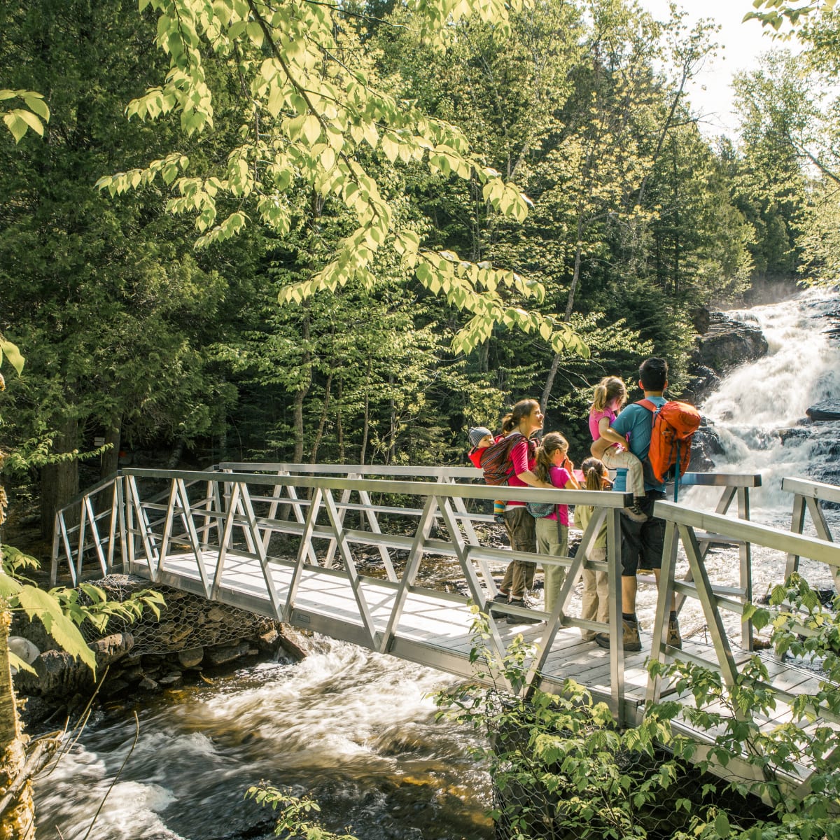 Famille sur un pont dans la nature qui regarde une chute.