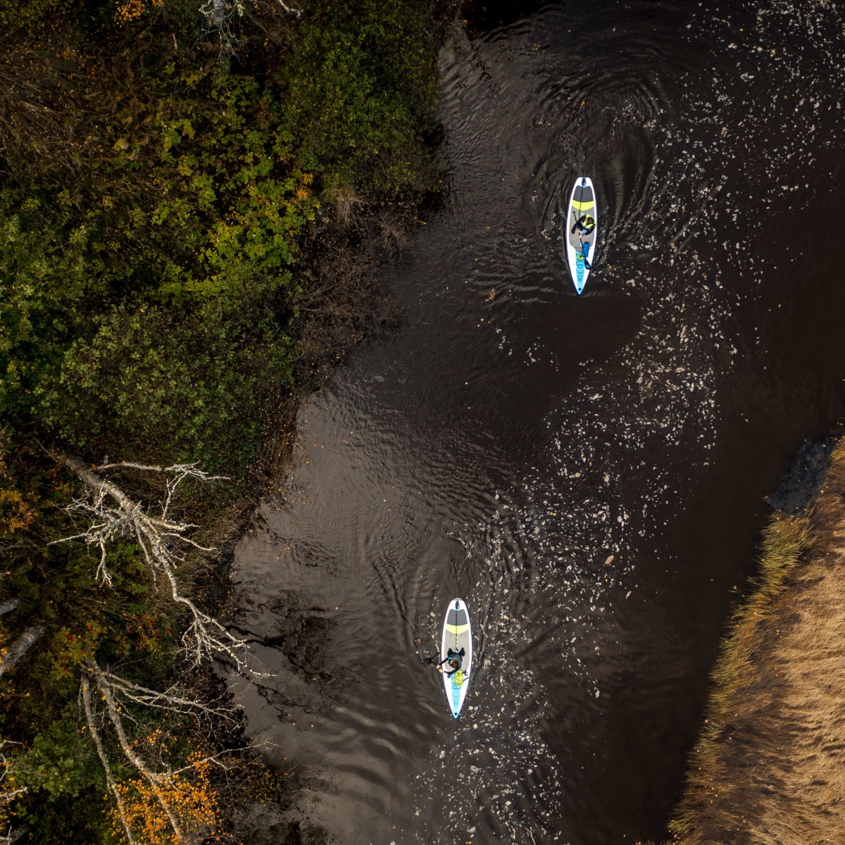 Vue aérienne en plongée sur des planches à pagaie en rivière à l'automne.