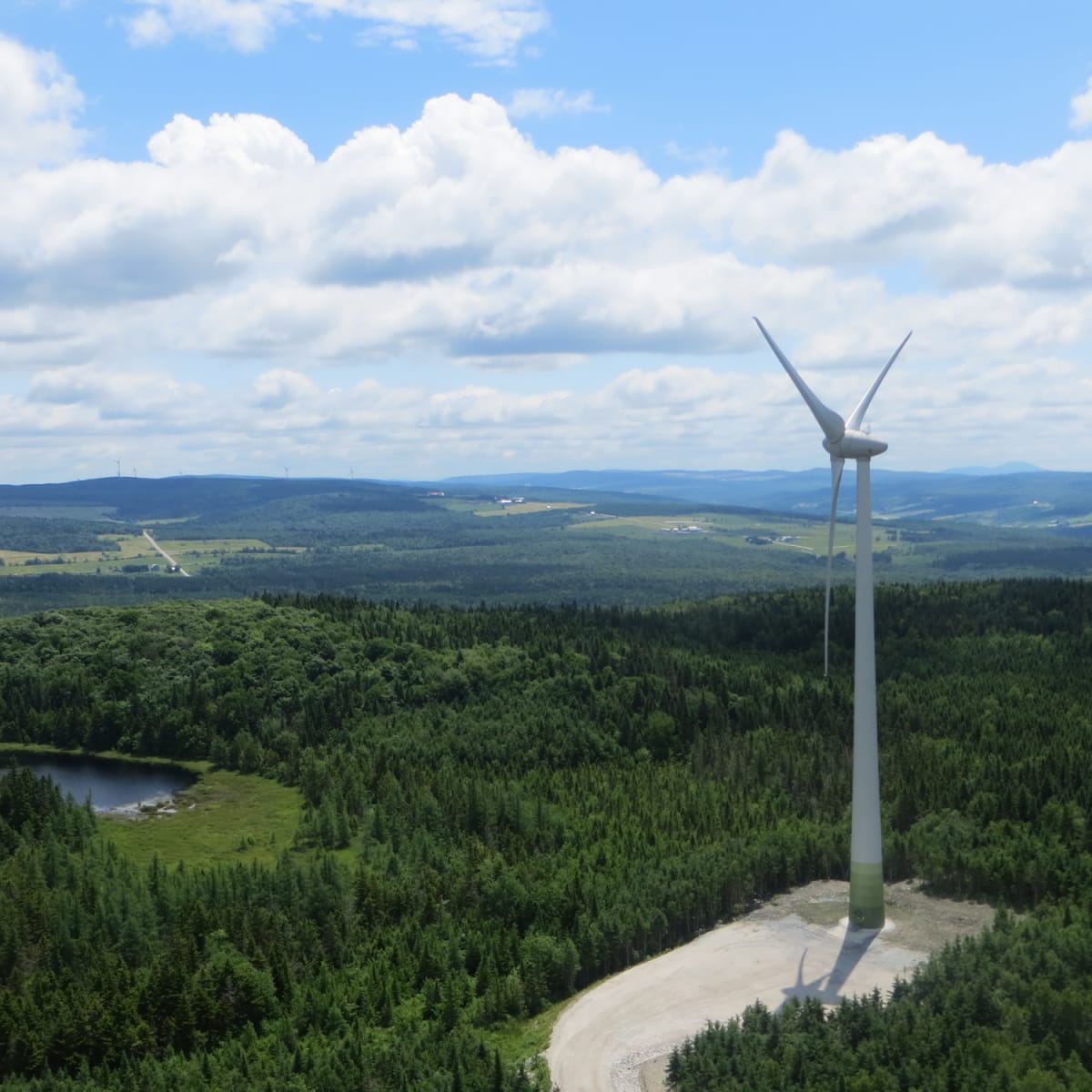 View of the wind turbines