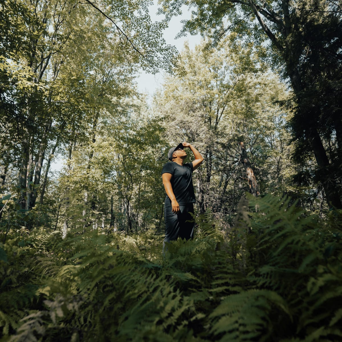 Sentier pédestre