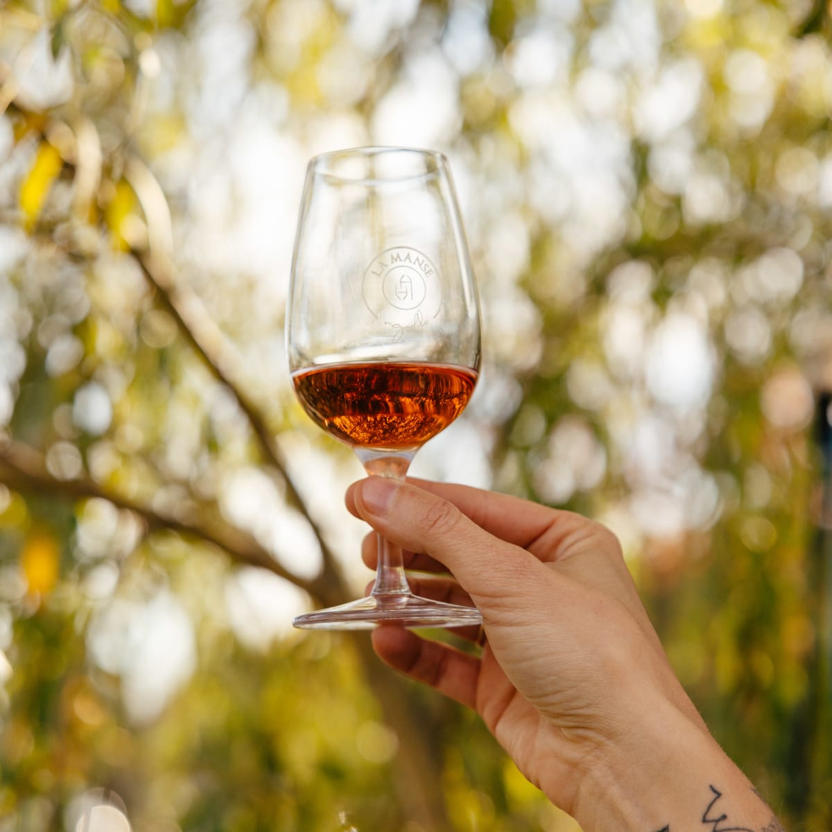 Verre de dégustation de vin tenu devant un paysage verdoyant.