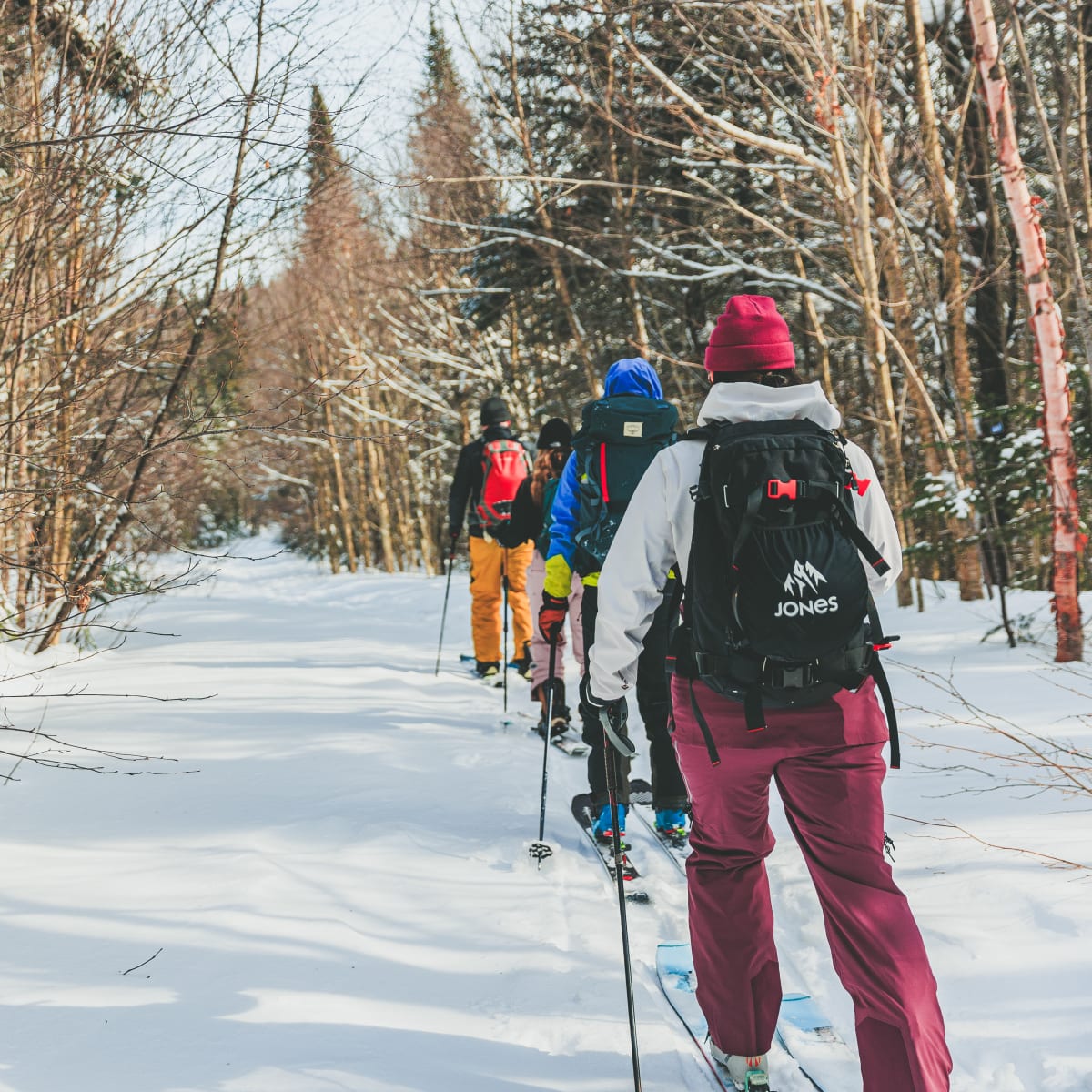 Balade de ski de fond en groupe.
