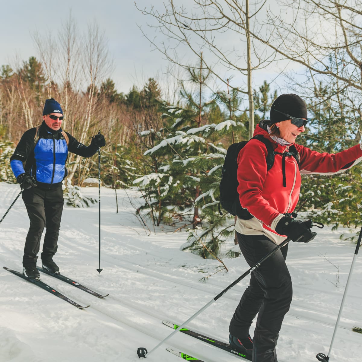 2 personnes en ski de fond.