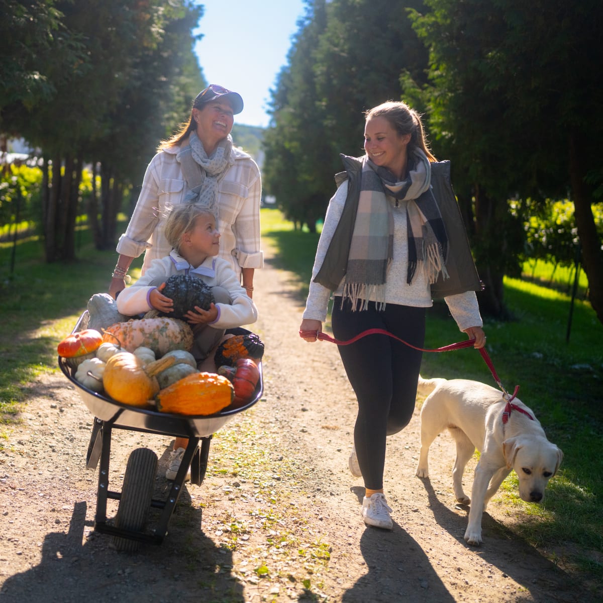 Family with a cart of squash at the Centre d'interprétation de la courge.