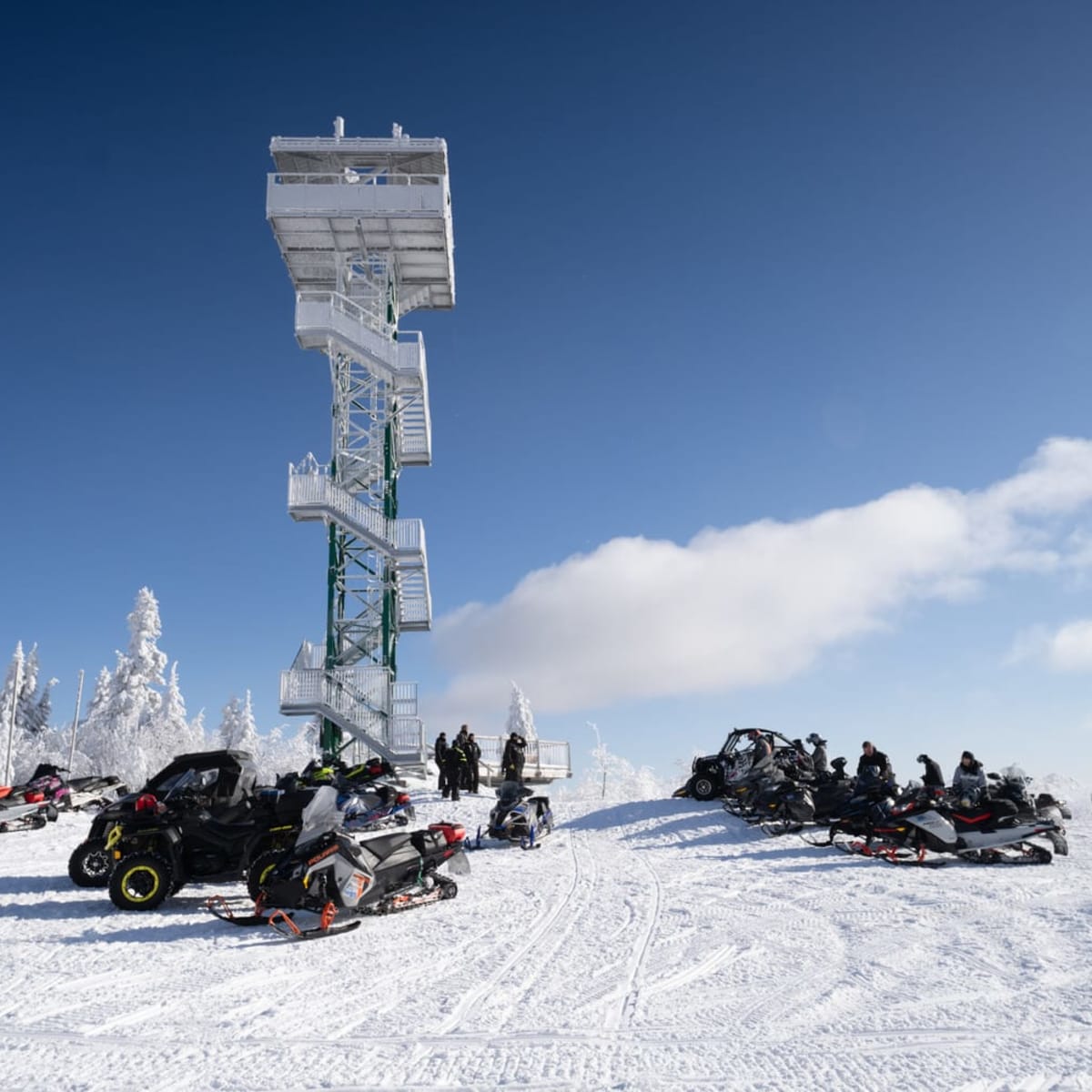 Observation tour in winter.
