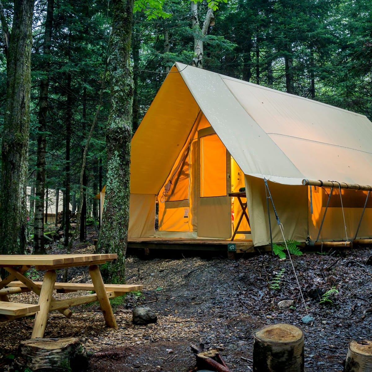 Unité de prêt-à-camper dans le bois à Huttopia Les Deux Lacs.