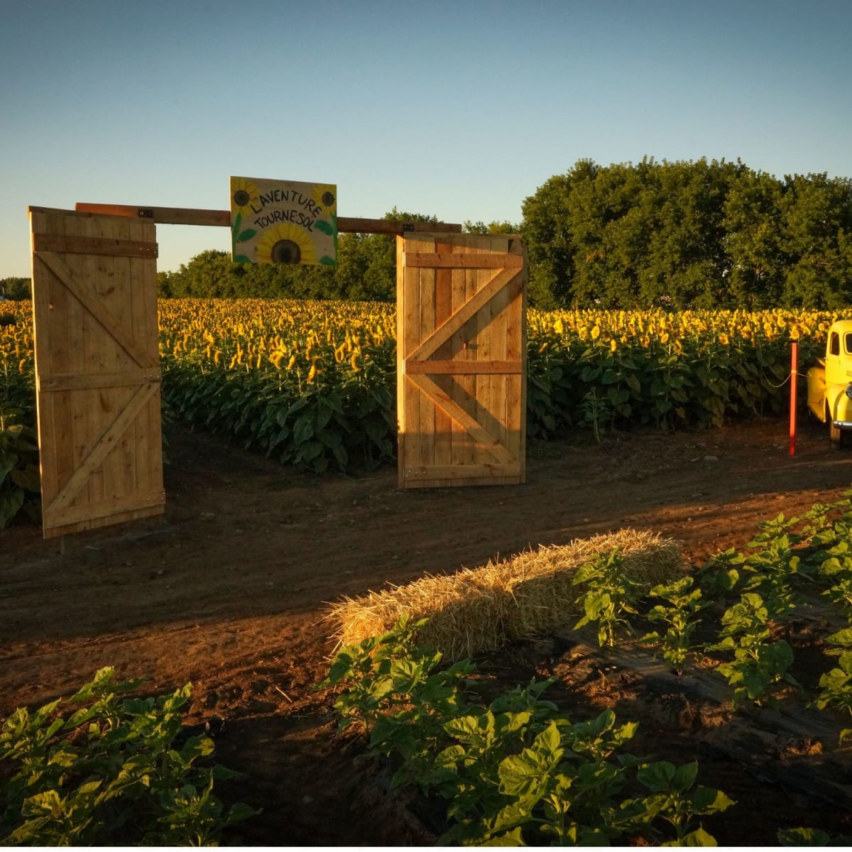 Tourisme Laval - Ferme Marineau : field