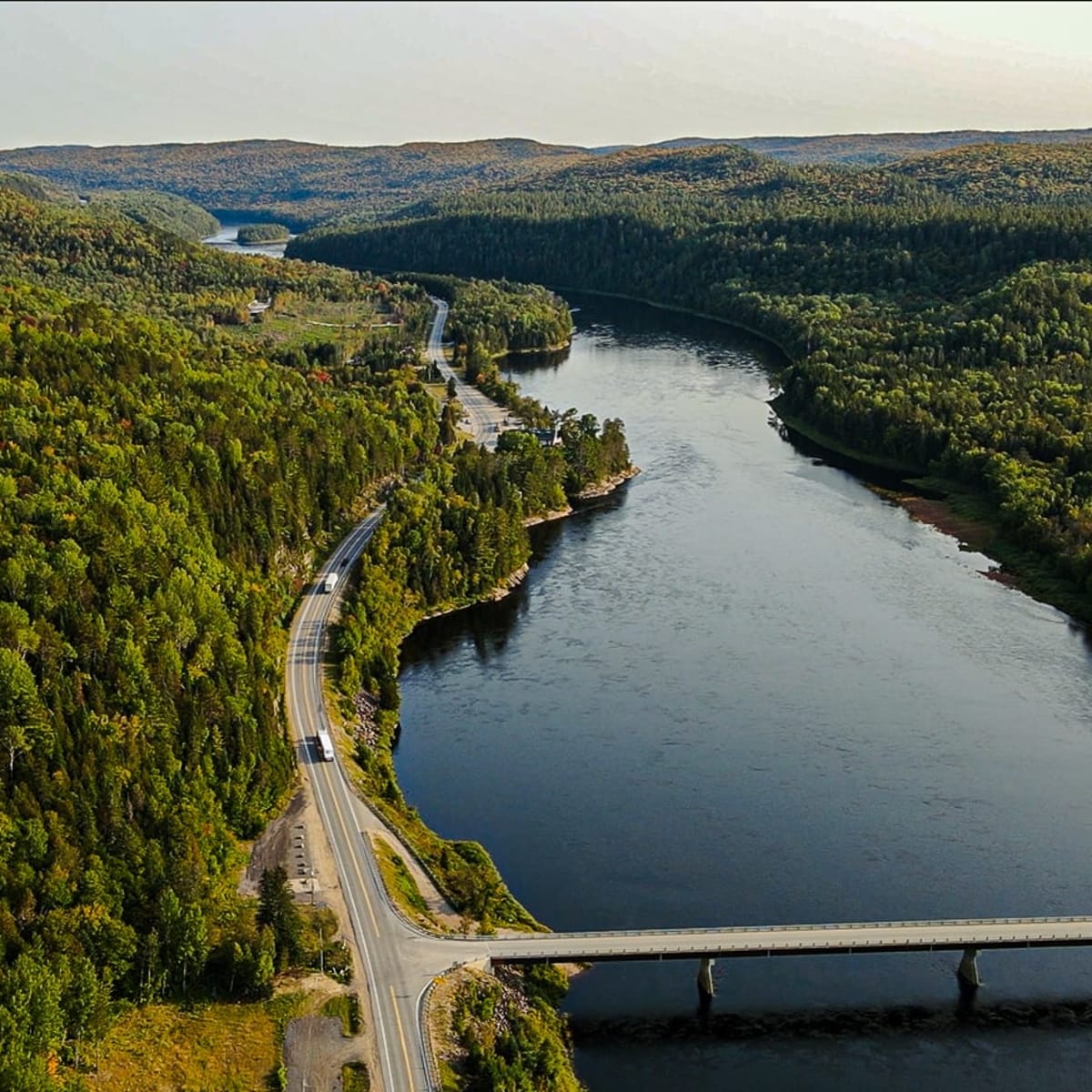 Plan aérien d'une rivière bordée de forêts.
