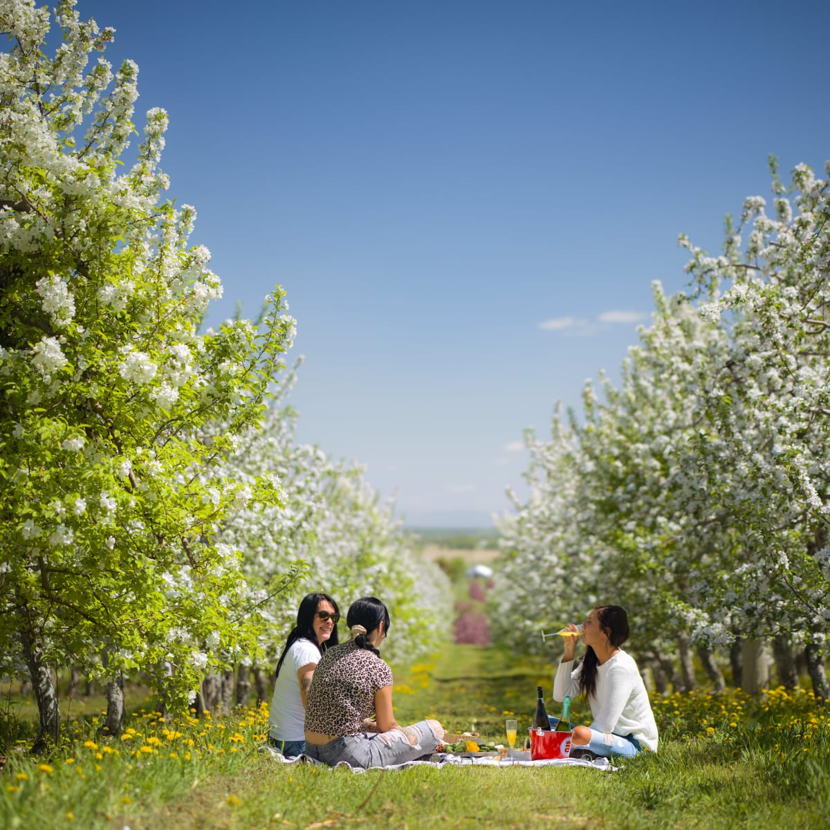 Tourisme Montérégie