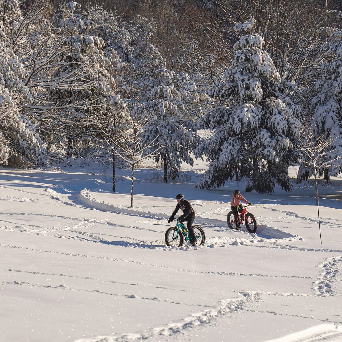 Tourisme Montérégie