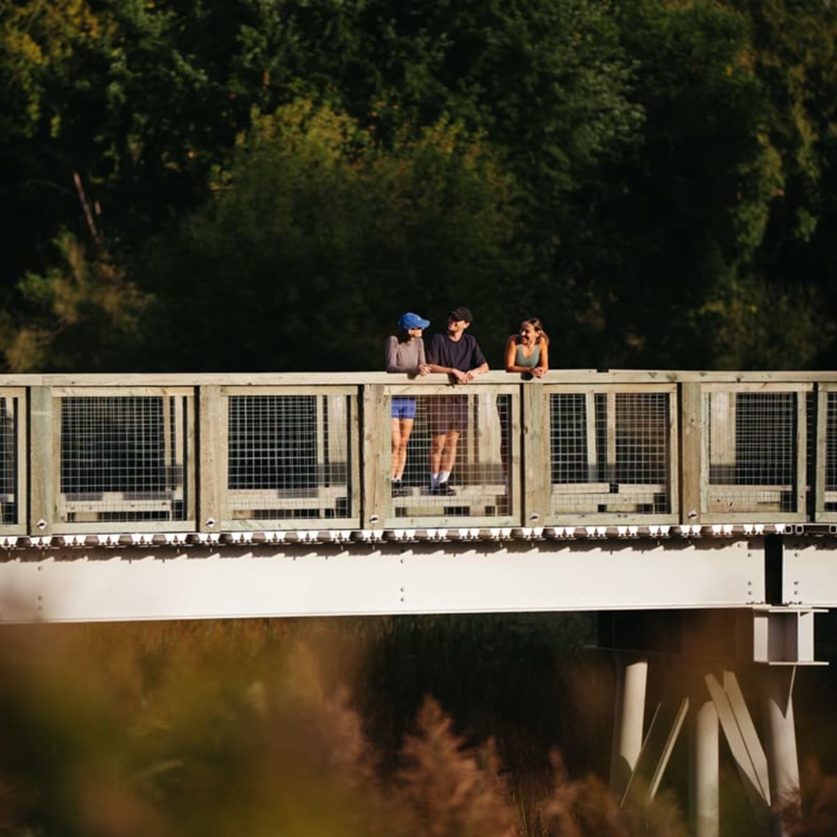 Passerelle au Parc national des îles de Boucherville. 