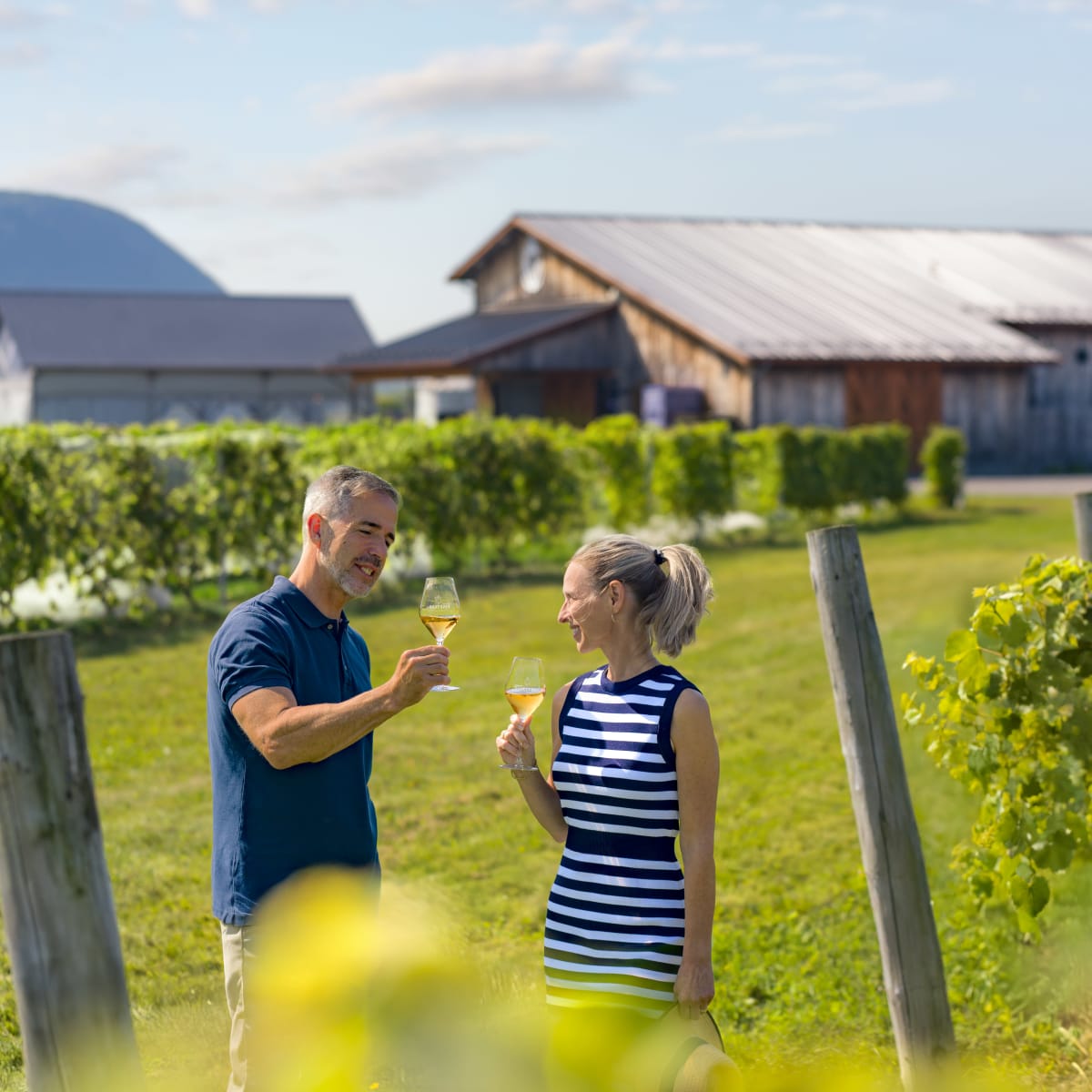 Couple dégustant du vin dans les vignes.