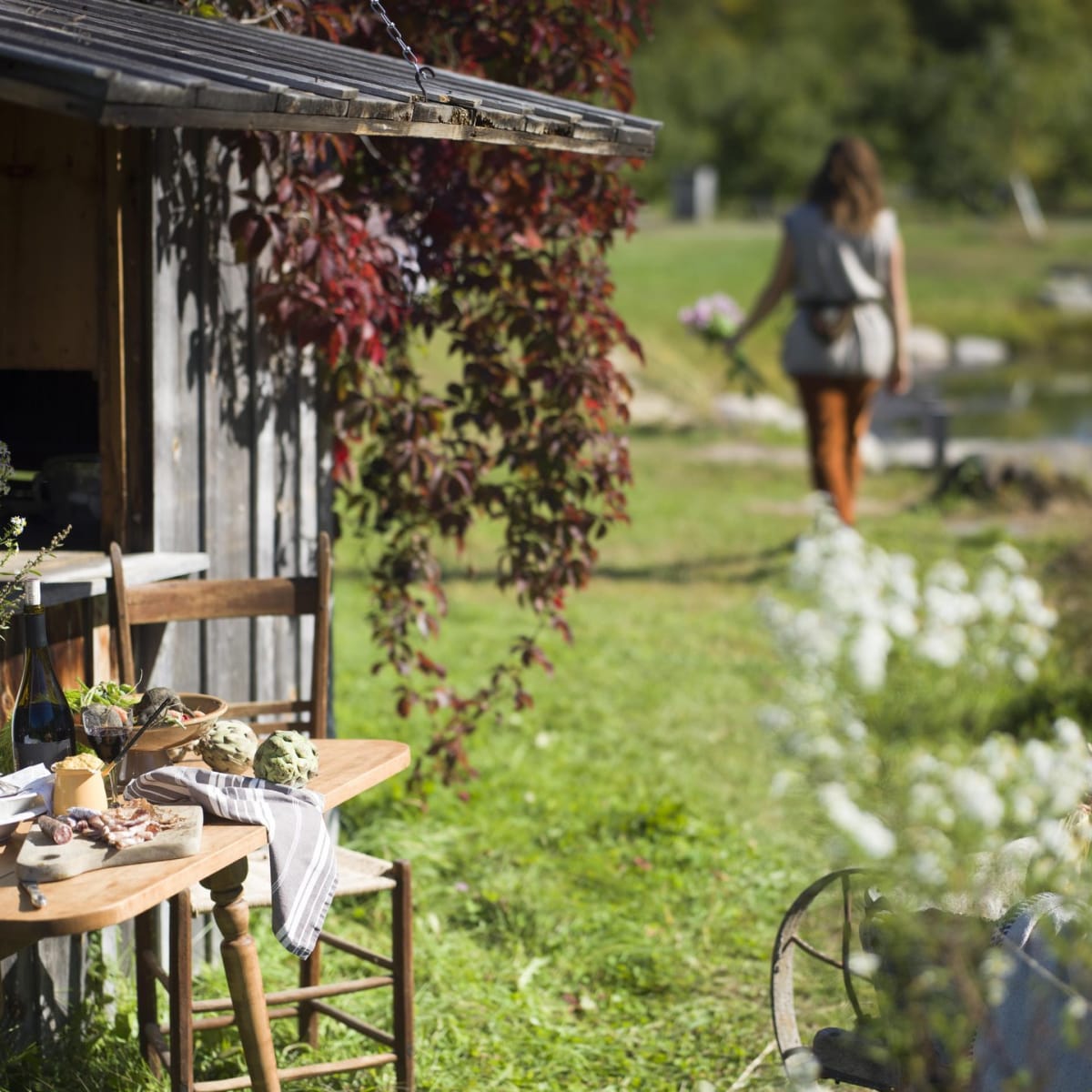 Agrotourism 