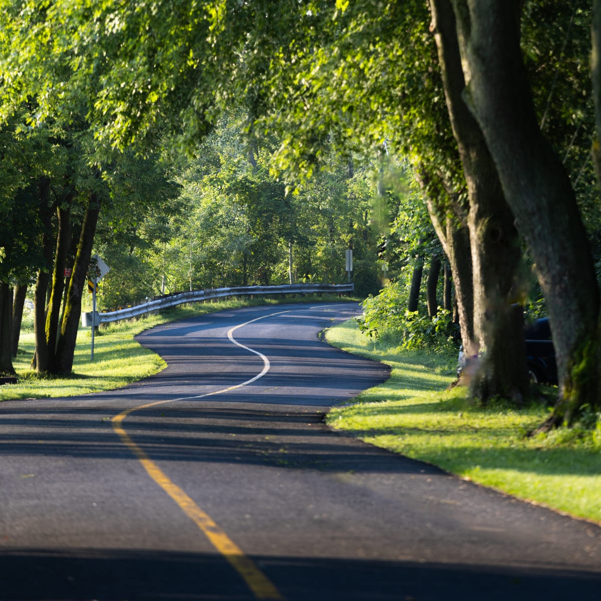 MRC Nicolet-Yamaska - Piste cyclable en asfalte, entouré de nature