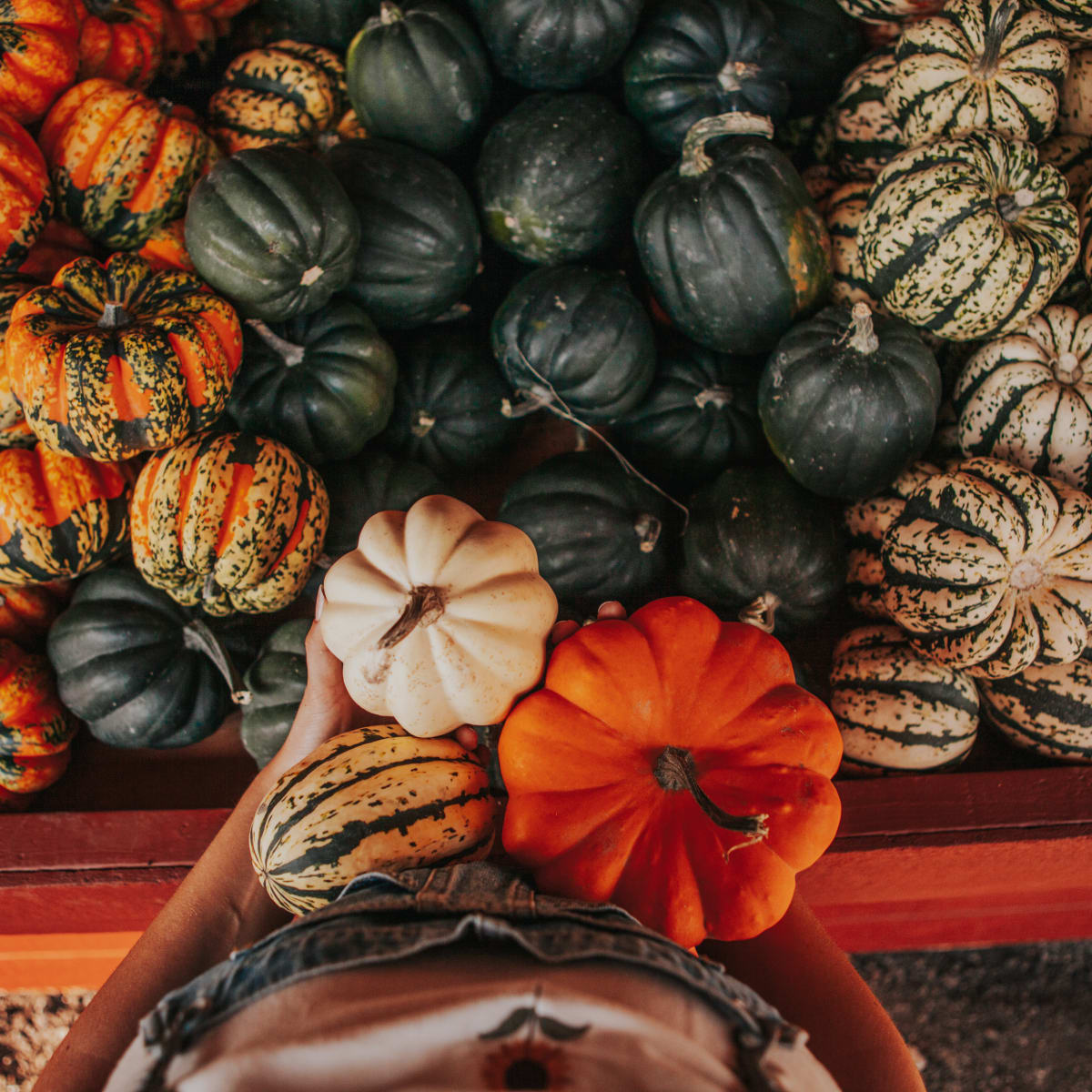 Basket of pumpkins at Courges et cie.
