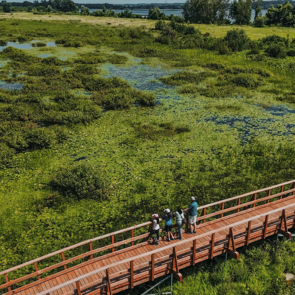 Passerelle au Parc nationale de Plaisance.