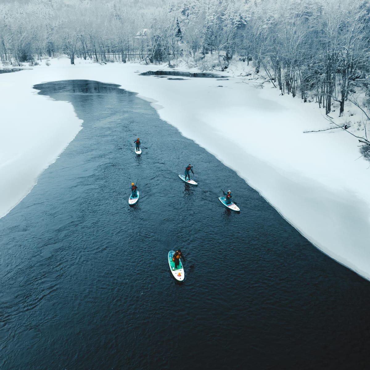Cinq personnes en SUP des glaces sur un plan d'eau bordé de neige.