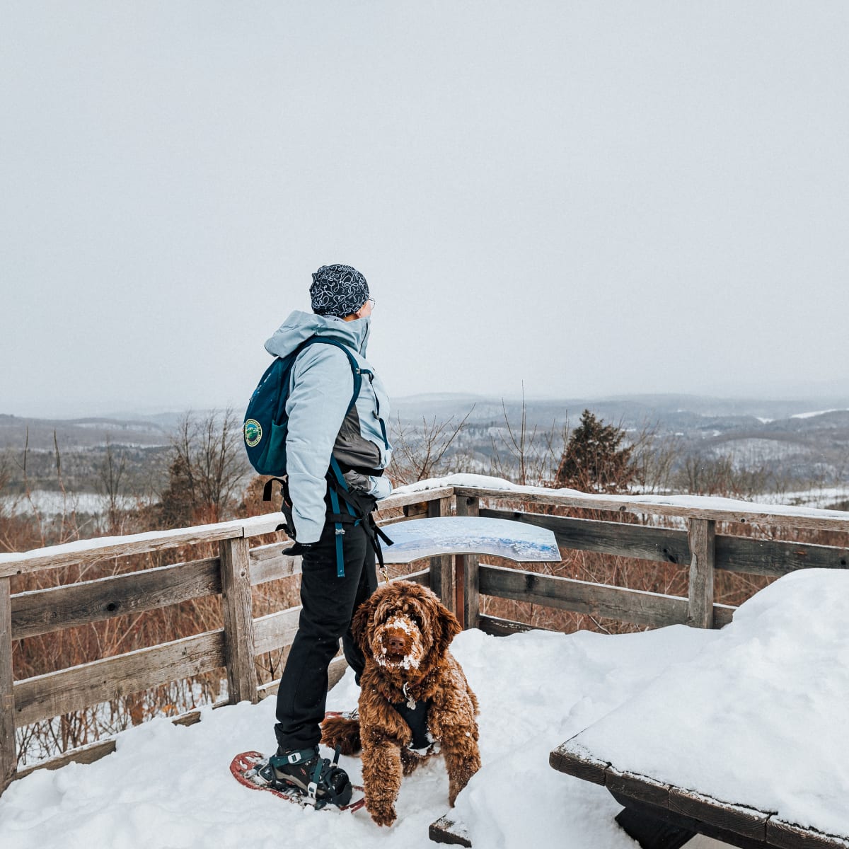 Personne en raquette accompagnée d'un chien au Parc des Montagnes Noires de Ripon