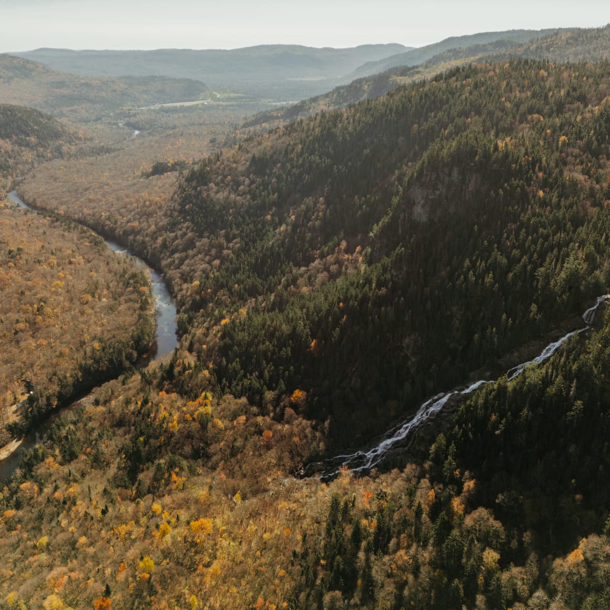Vue aérienne en automne, Vallée Bras-du-Nord.
