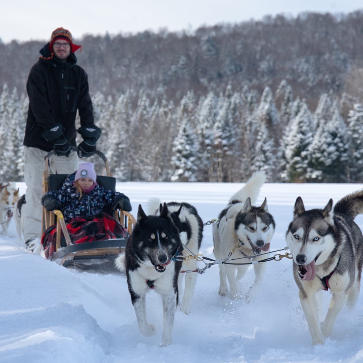 Dog sled ride. 