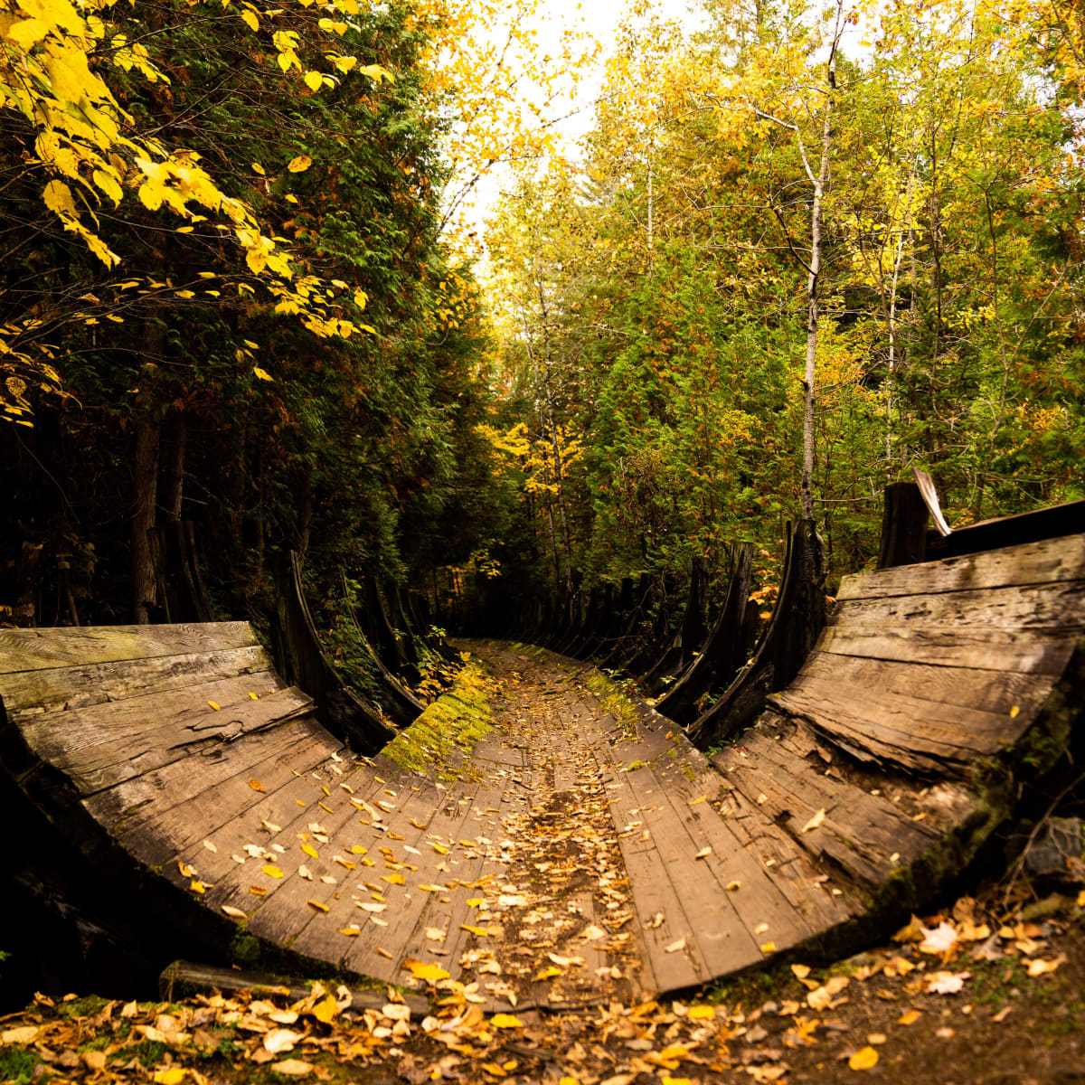 Parc régional de Portneuf at Fall.