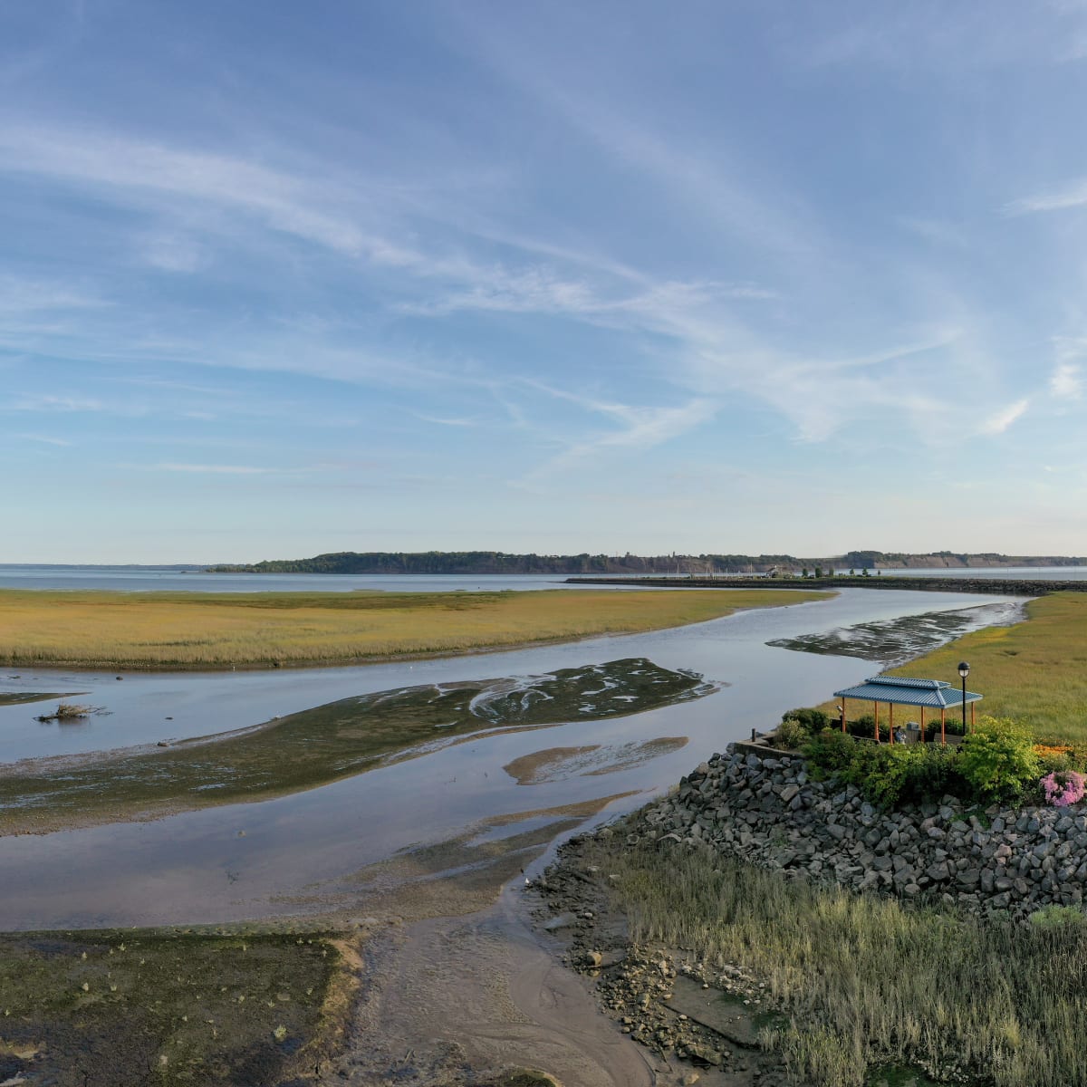 Marsh in the Portneuf Region in the spring.