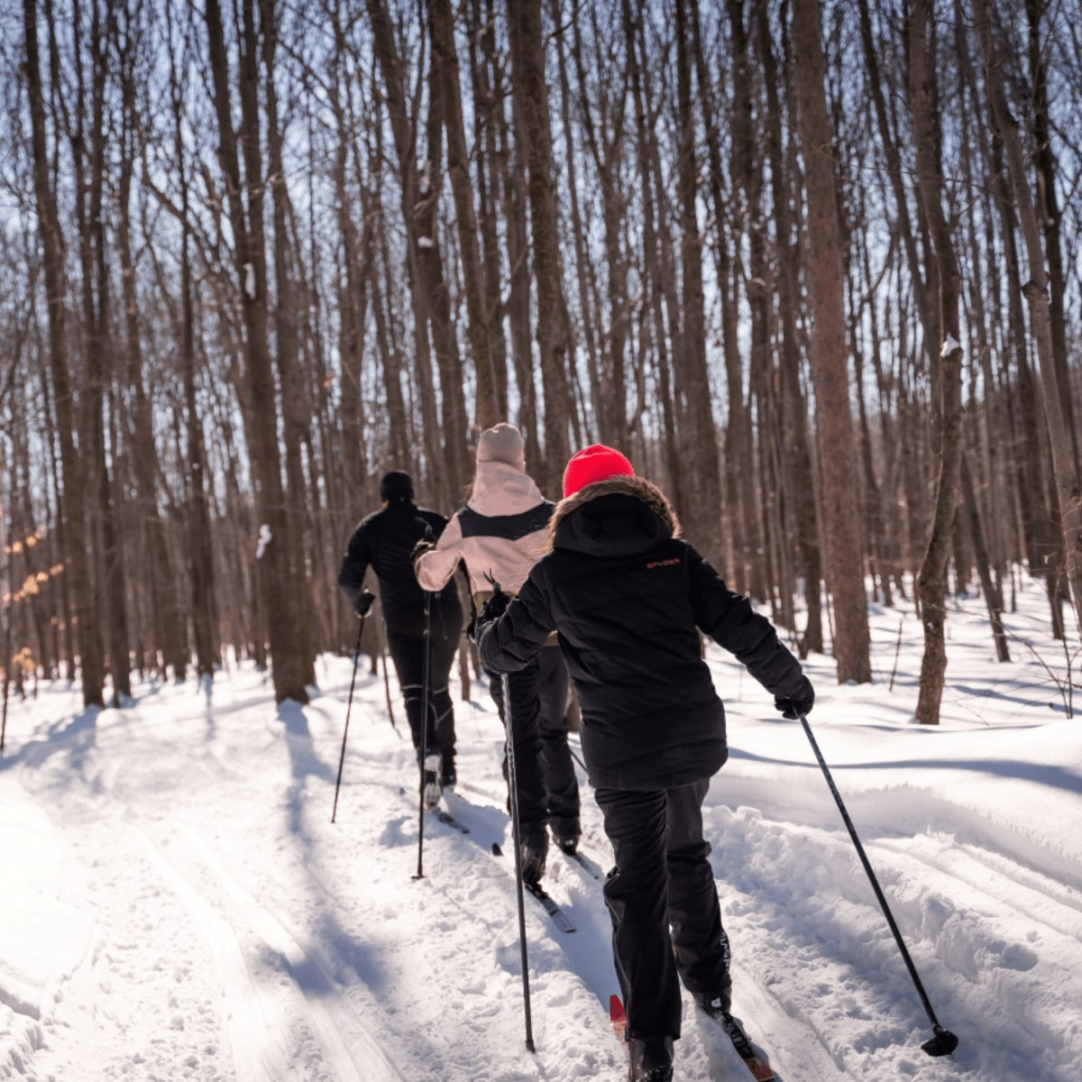 Ski de fond au Parc régional des grèves, dans la Région Sorel-Tracy.