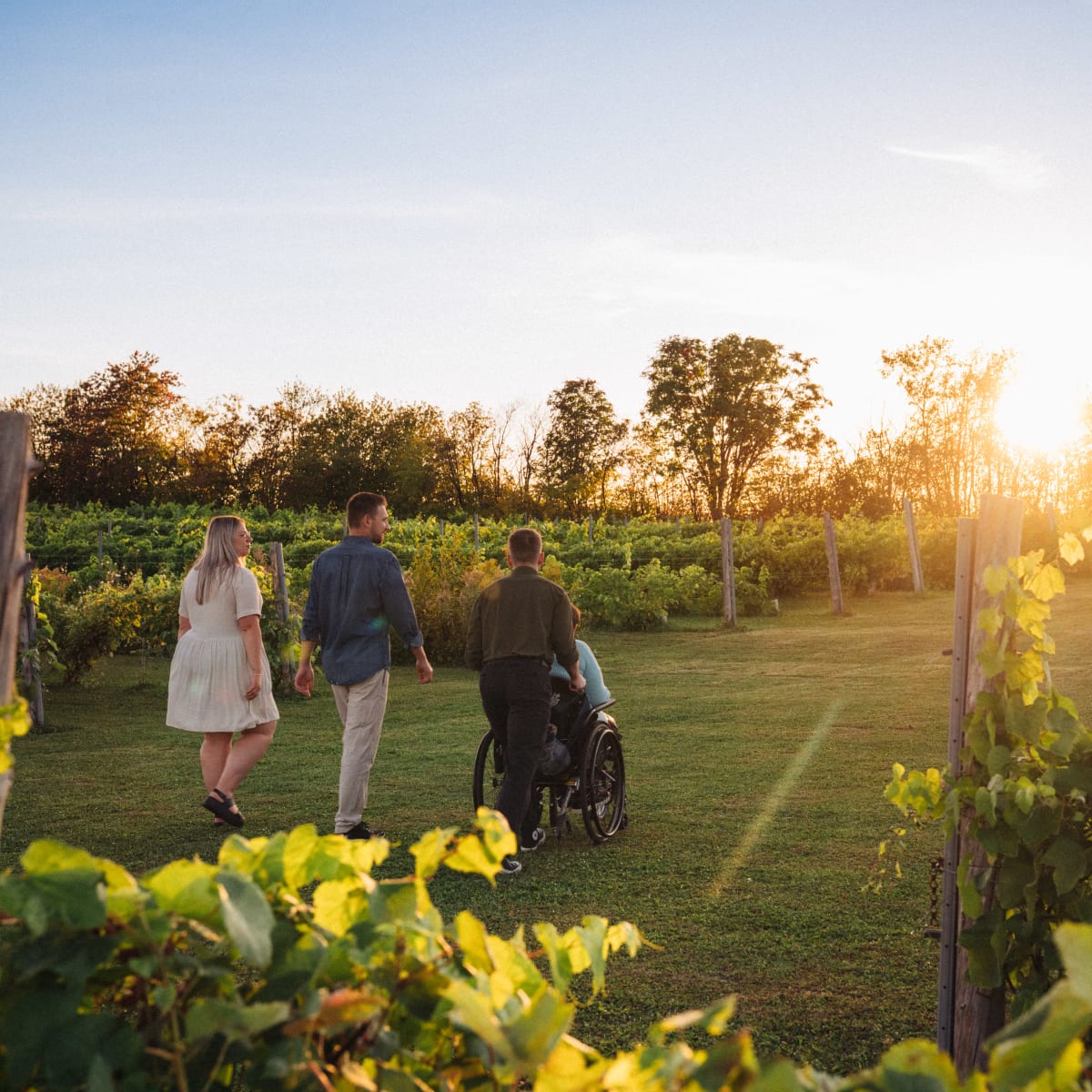 Vignoble Chambordais St-Vincent.