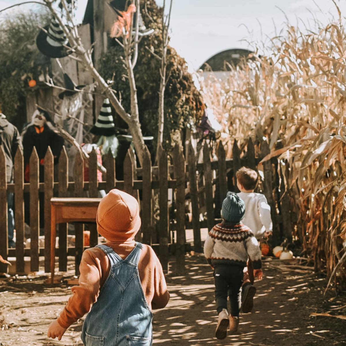Vaudreuil-Soulanges: Festiv'Halloween, La Belle de Coteau-du-Lac