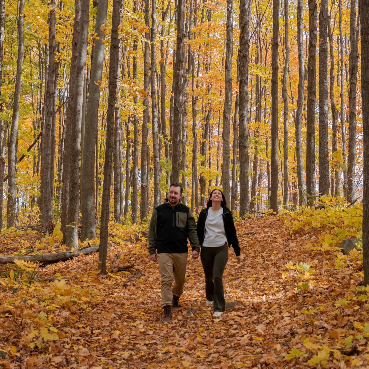 A couple walking through a colorful autumn landscape.