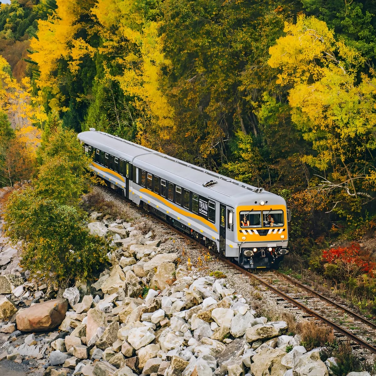 Train de Charlevoix.