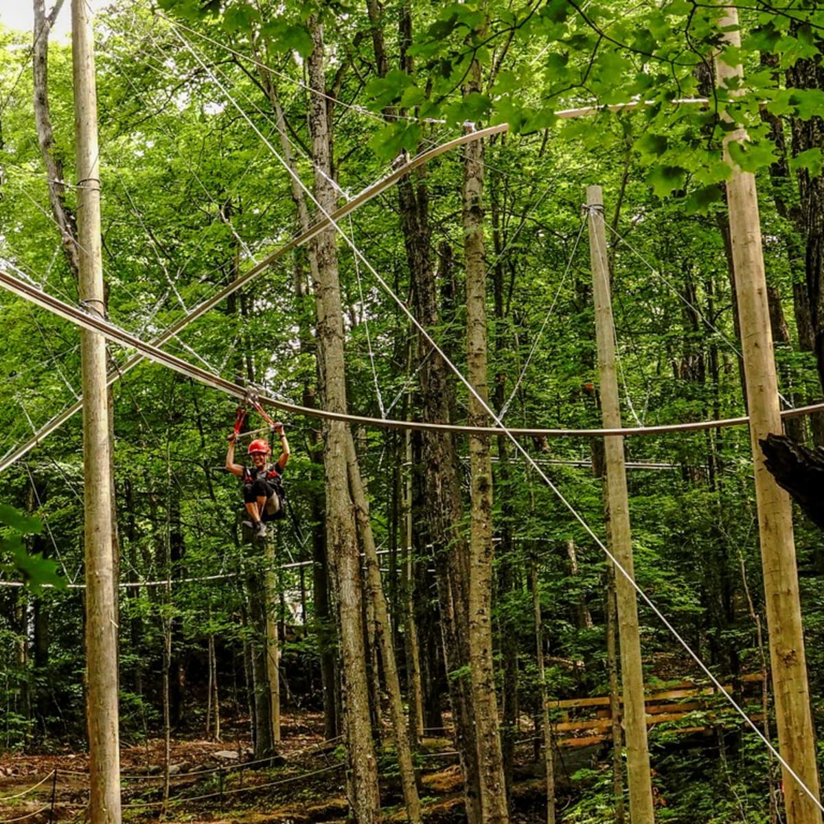 Tyrolienne au Mont SUTTON