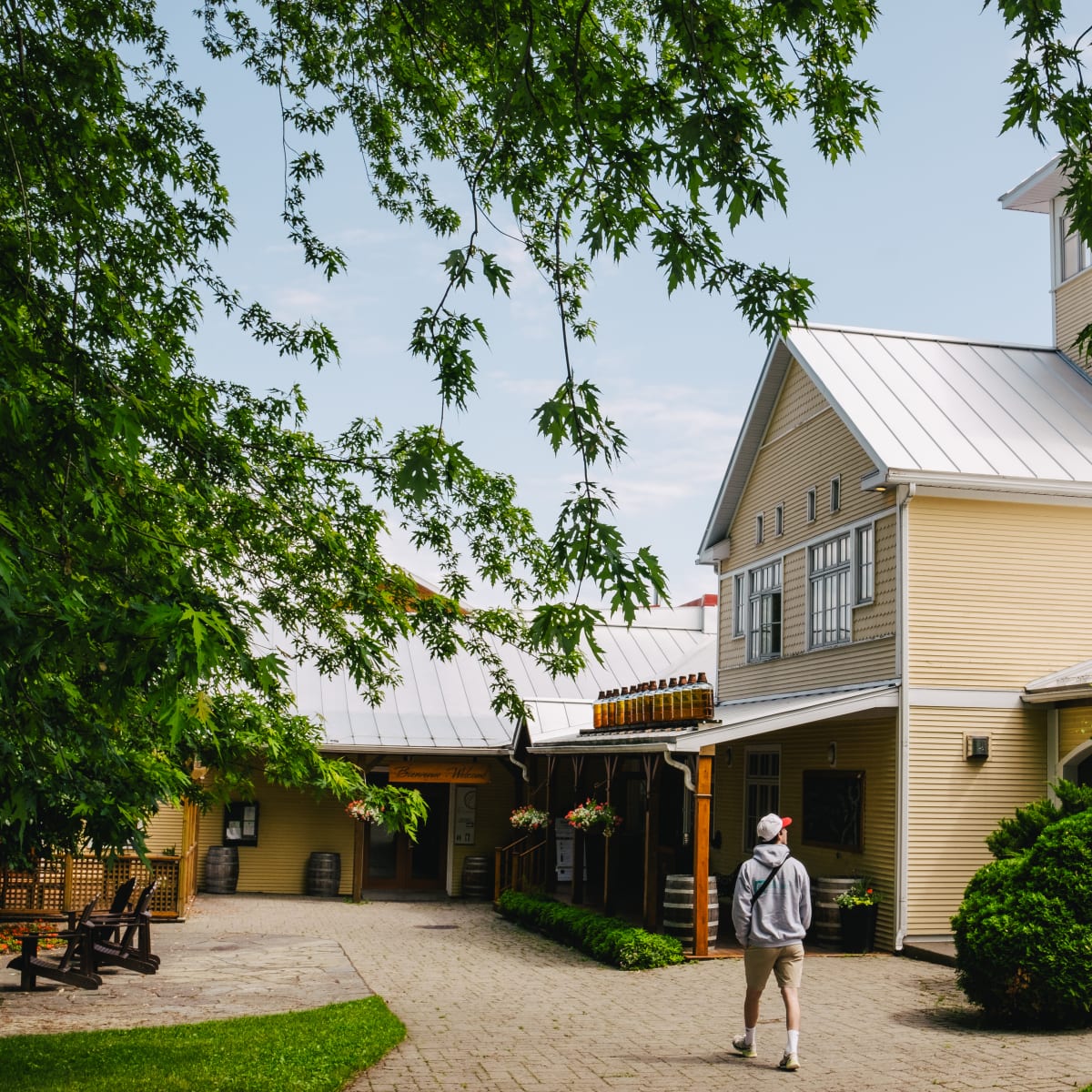 Vignoble de l’Orpailleur